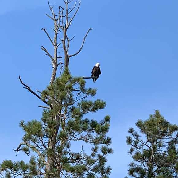 Meet your Posher, Erin - Picture 1 of 2